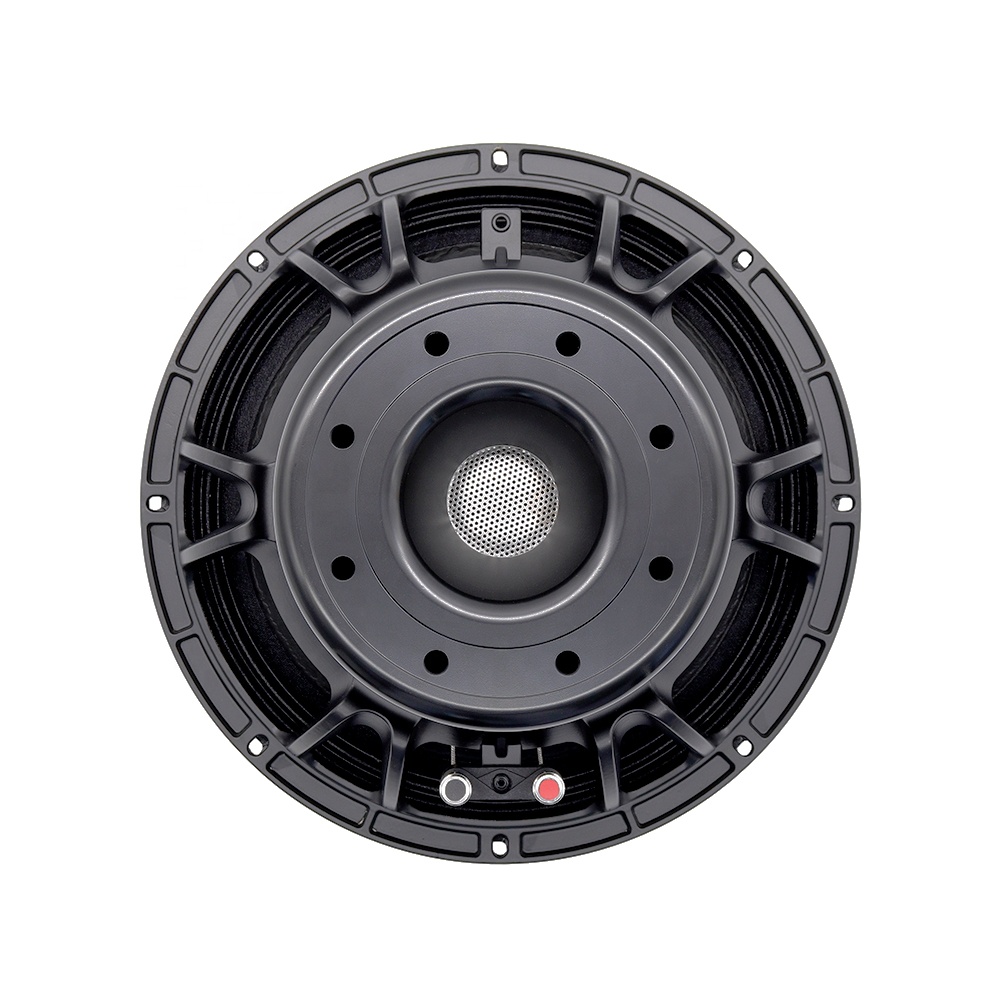 12DS Pro Audio Equipment 12''  – Audio & Music Xbox Bewertung und Preis
