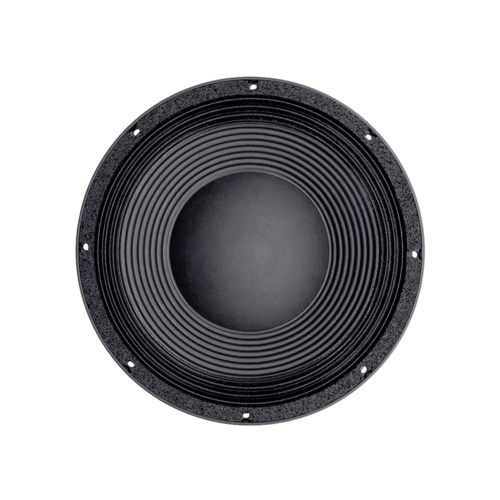 12DS Pro Audio Equipment 12''  – Audio & Music Xbox Bewertung und Preis