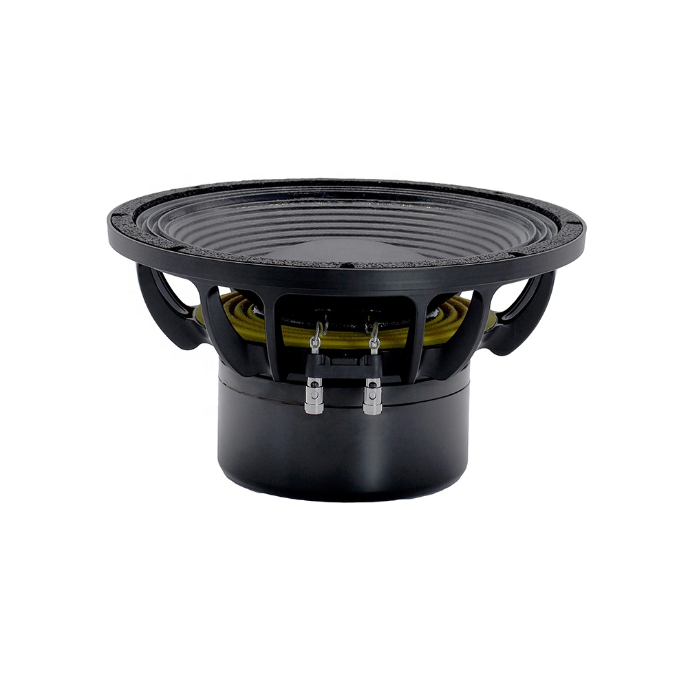 12DS Pro Audio Equipment 12''  – Audio & Music Xbox Bewertung und Preis